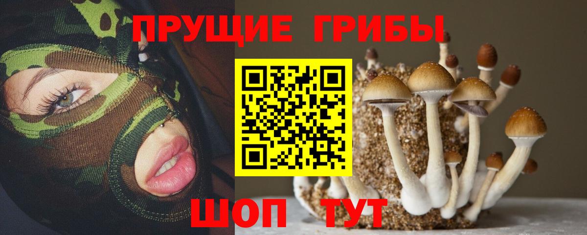 Псилоцибиновые грибы мицелий  Псилоцибиновые грибы Magic Shrooms  купить  цена  Вход с VPN  Большой Камень 